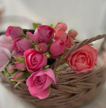 Гарного дня!